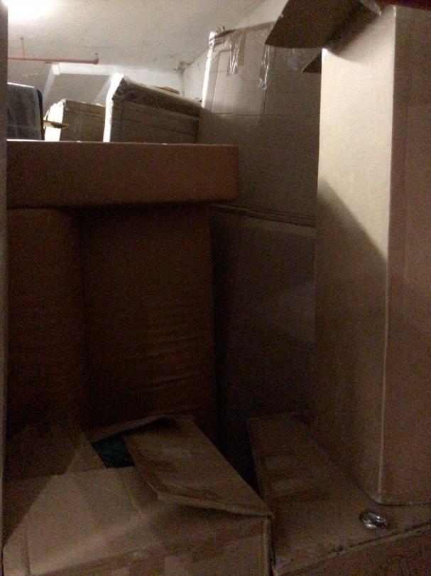 Storage Unit Auction in Brooklyn, NY at Storage Post Brooklyn STAU01